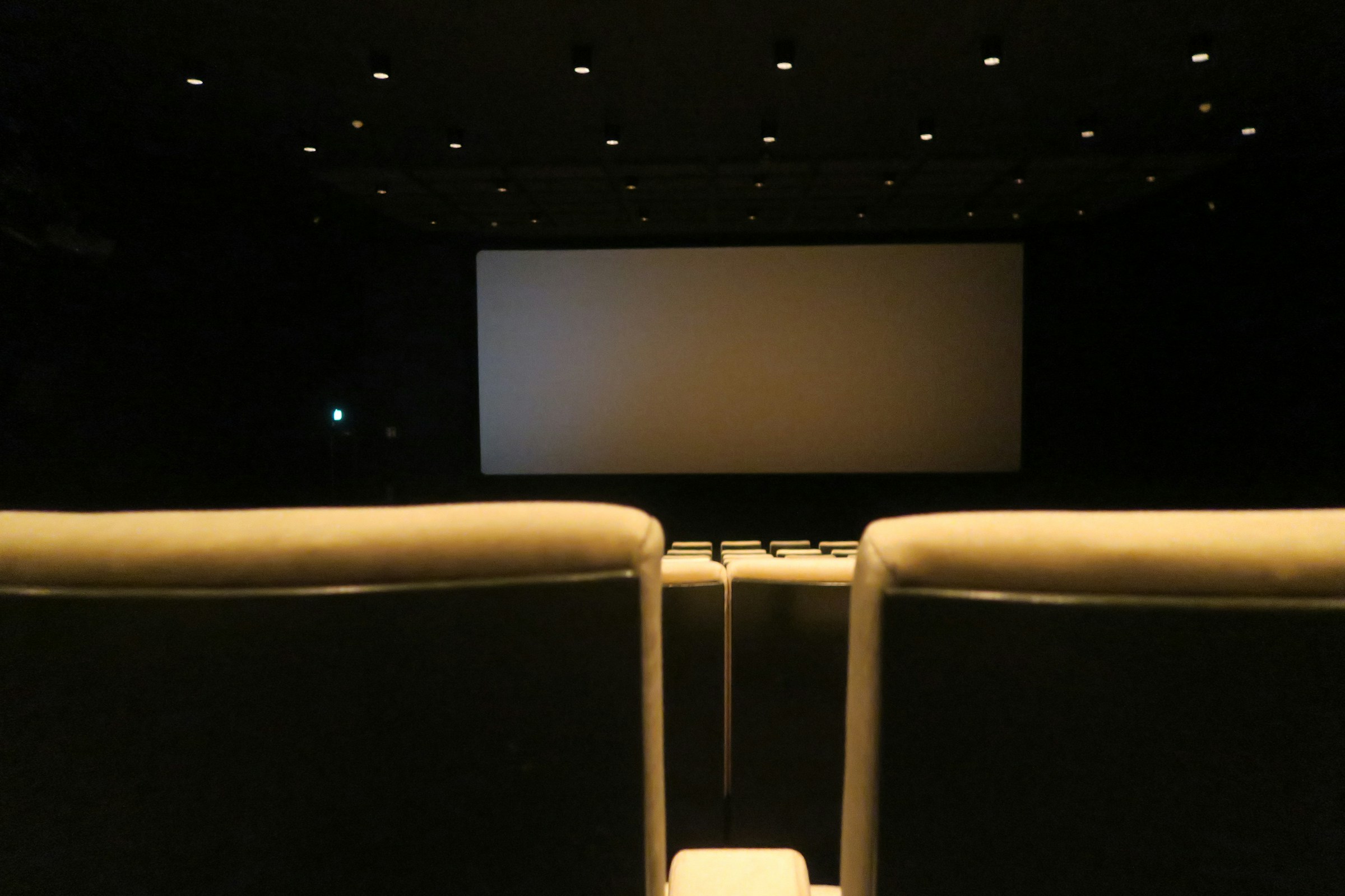 Austin Asian American Film Festival