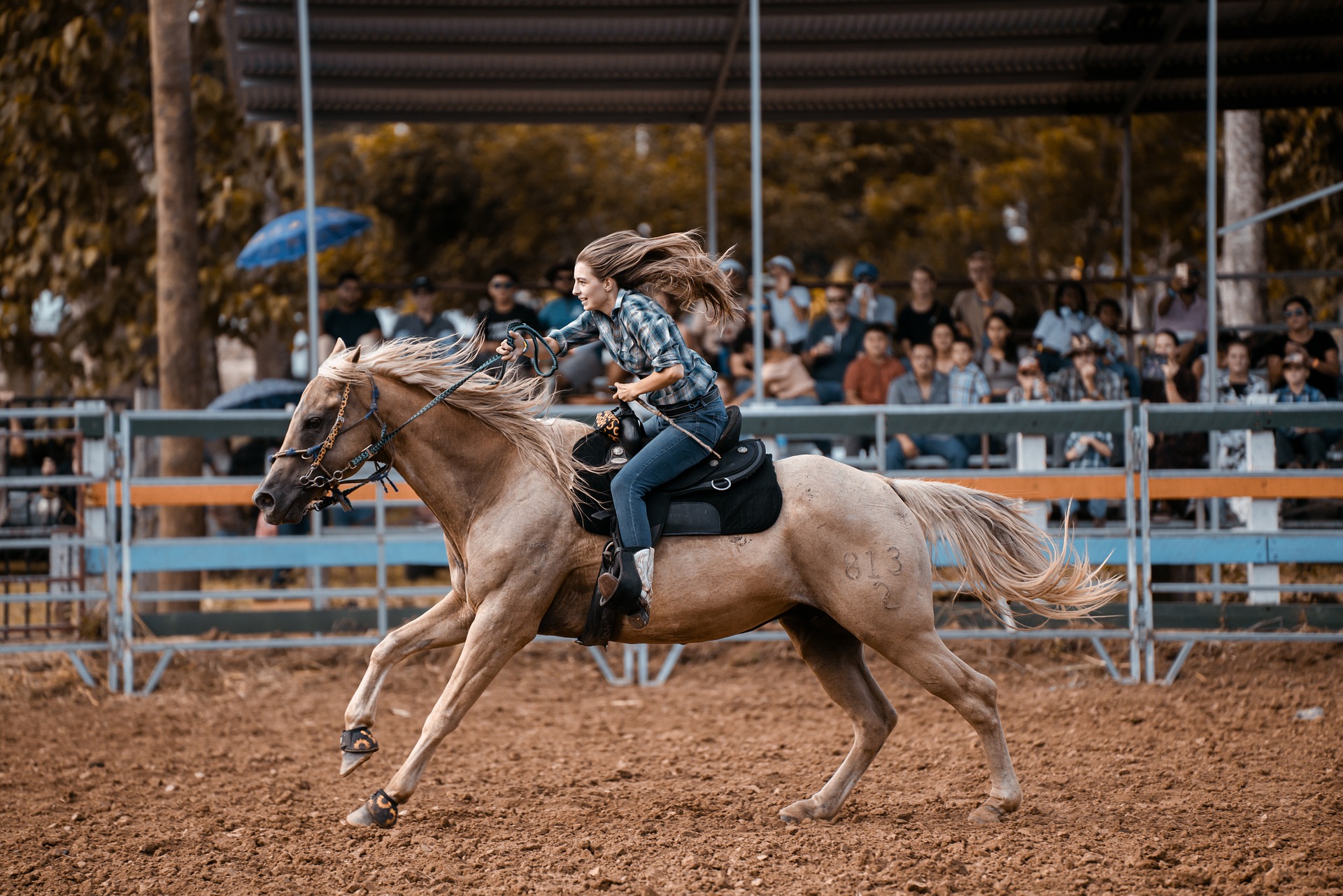 Enjoy the Dripping Springs rodeo and other Dripping Springs events